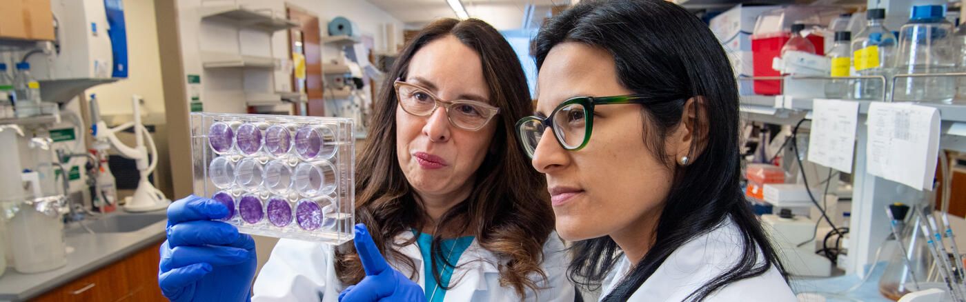 Dr. Jessie Villanueva and associate look at a specimen in the lab