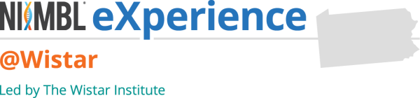 nimble experience logo