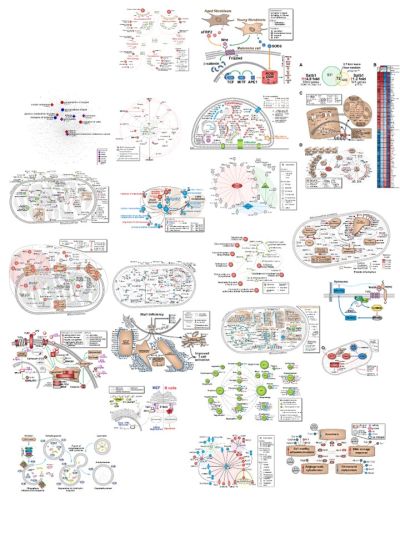 Bioinformatics