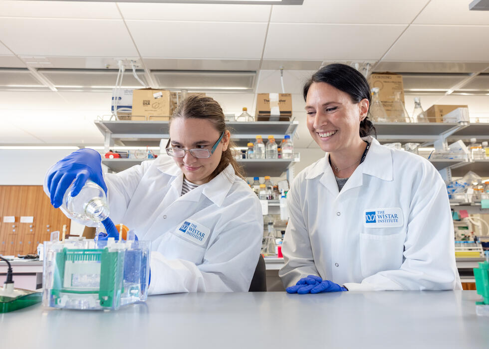 Wistar postdoctoral programs