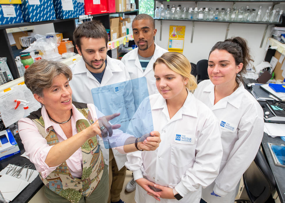 Postdoctoral Programs