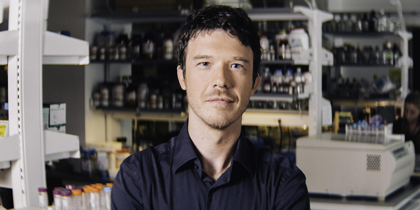 Dr. Alessandro Gardini