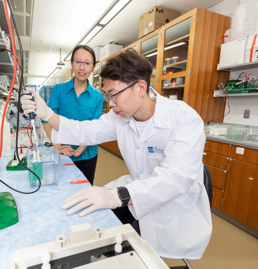 Cotswold Foundation Postdoctoral Fellowship in action