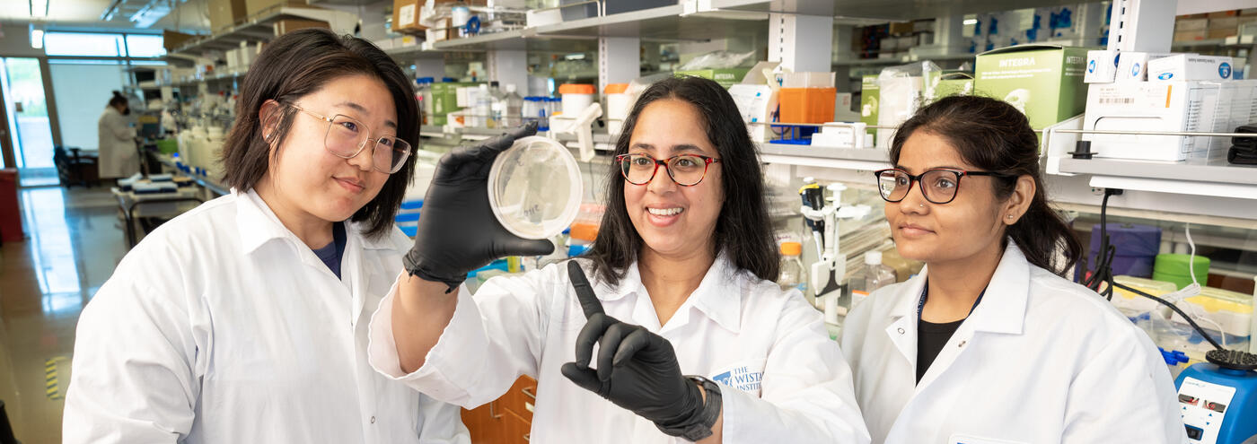 Research Experiences for Undergraduates