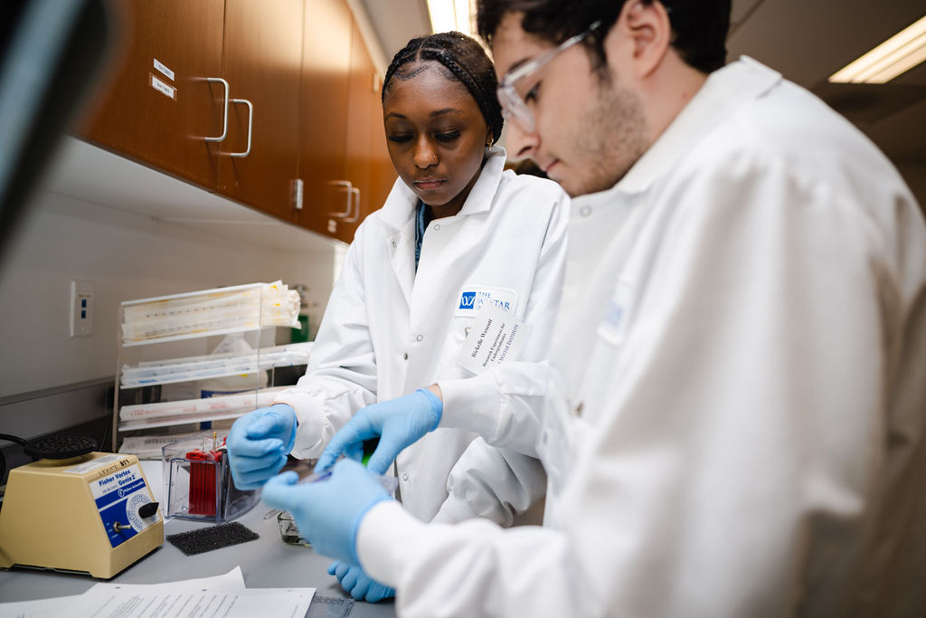 Research Experiences for Undergraduates program