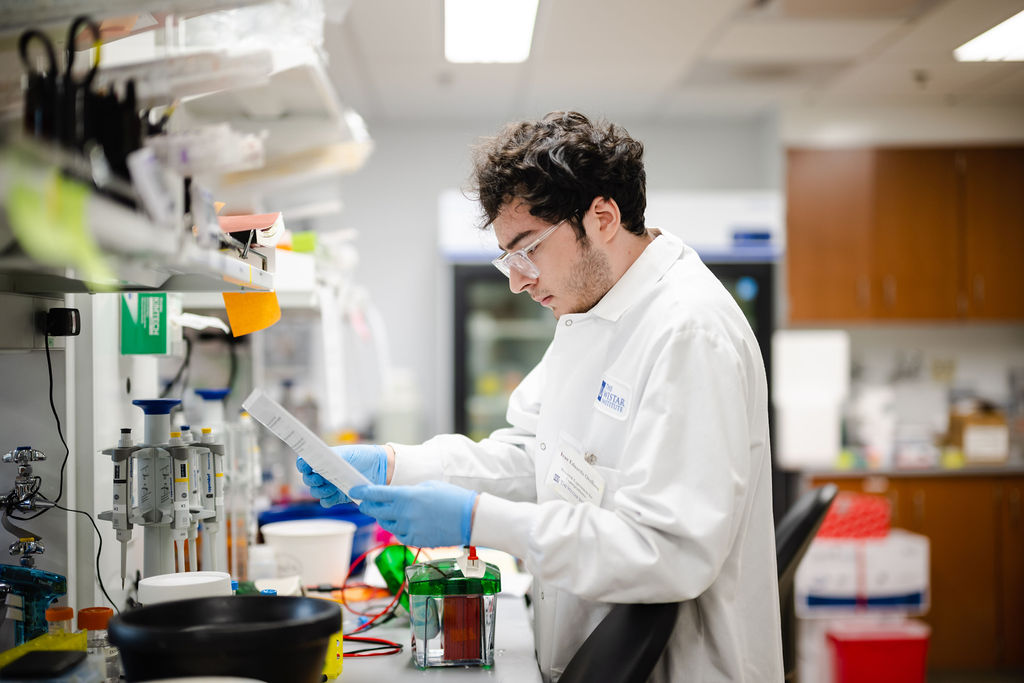 Wistar undergraduate program