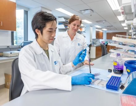 Fox Biomedical Research