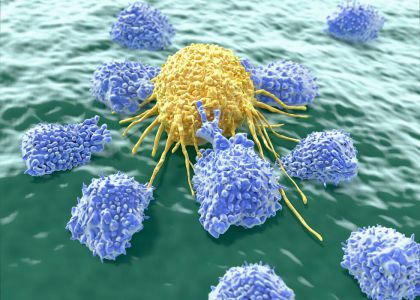 Drexel University’s Master of Science in Cancer Biology