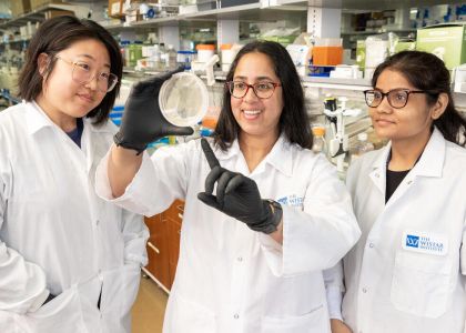 Wistar Research Experiences for Undergraduates (REU) Program